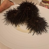 ポンドールイノ - 