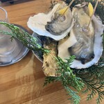 カキアキ水産 - 