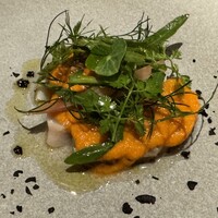 ARMONICO - 