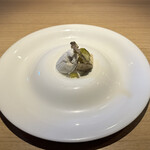 RISTORANTE IL NODO - 
      DOLCE  〜デザート〜　小田原  山の恵み　蕗の薹