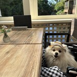 ザ フォレスト テラス - 