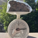 しかたらむかな - 「たわわ」を計測。