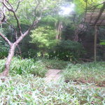 オーブン・ミトン カフェ - カフェのまわり