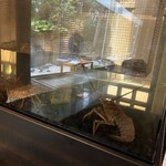 鉄板焼 ふじた - 