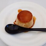 エルルカン・ビス - ブラジルプリン