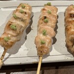 あほう鳥 - ささみ