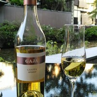 Jean-Georges at The Shinmonzen - 早く着いたので川床で一杯やりました