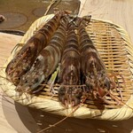 鮨 銀座 おのでら - 