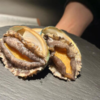 YANAGI TePPaN UNBORN GASTRONOMY - 