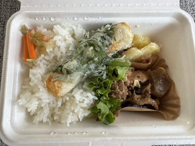 Hakusan Kometen photo 5