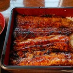 川京 - うな重特上♪ごはん少なめ