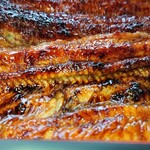 川京 - うなぎ♪接写