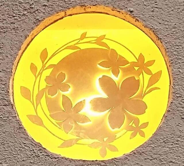 Osakana Dokoro Sakura Chaya photo 5