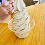 アクアイグニス淡路島 - 