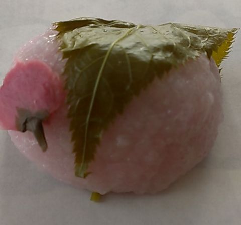 創作和菓子 濱うさぎ 上大岡店 上大岡 和菓子 食べログ