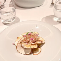 ジョンティ アッシュ - 