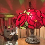 北海道&沖縄酒場 シブネコ - 