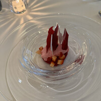 Noeud.×THE CHEF'S - 