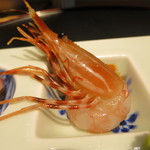 日本料理 みや  - 26年3月　お造り　ボタン海老