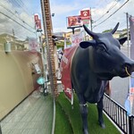 グルメリア但馬 - お店