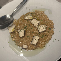 HESTIA GINZA -  HESTIA GINZA -