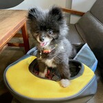 アネアカフェ - 