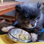 アネアカフェ - 