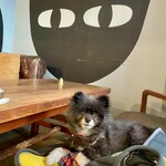 アネアカフェ - 