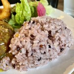 アネアカフェ - 