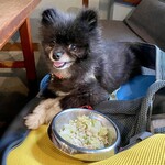 アネアカフェ - 