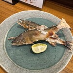 旬の魚と旨い酒 山田食堂 - 