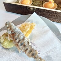 ラ・テラス イリゼ - 