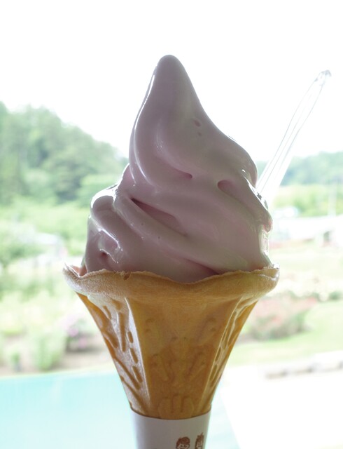 ログハウス交流館 - 村山（喫茶店）の写真