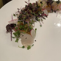 クッチーナ イタリアーナ アリア 六本木 -  クッチーナ イタリアーナ アリア 六本木 -