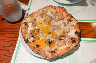 A Fenestella - Bismarck