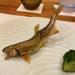 蕎麦割烹  倉田 - 天竜川産 活鮎塩焼き