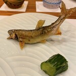 蕎麦割烹  倉田 - 天竜川産 活鮎塩焼き