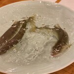 蕎麦割烹  倉田 - 天竜川産 活若鮎