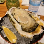 蕎麦割烹  倉田 - 長崎県壱岐産 岩牡蠣