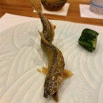 蕎麦割烹  倉田 - 天竜川産 活鮎塩焼き