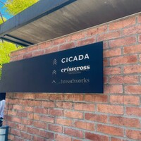 CICADA - 