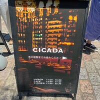 CICADA - 