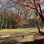 ホテル鹿島ノ森 - 庭も歩けます