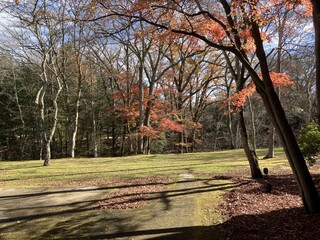 ホテル鹿島ノ森 - 庭も歩けます