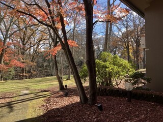 ホテル鹿島ノ森 - 行ったときは紅葉が美しかった