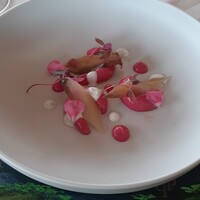 エノテーカ ピンキオーリ 名古屋 - 