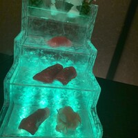 牛牛 西麻布 総本店 - 