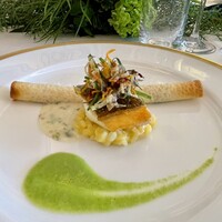 テラコヤ - 真鯛のポワレ　玄米のクレープで包んだホホ肉とサフランのリゾット添え、海藻のソース