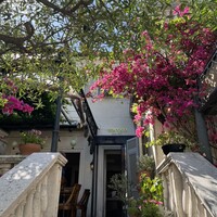 表参道バンブー - 