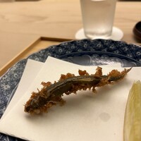 懐石料理 桝田 - 